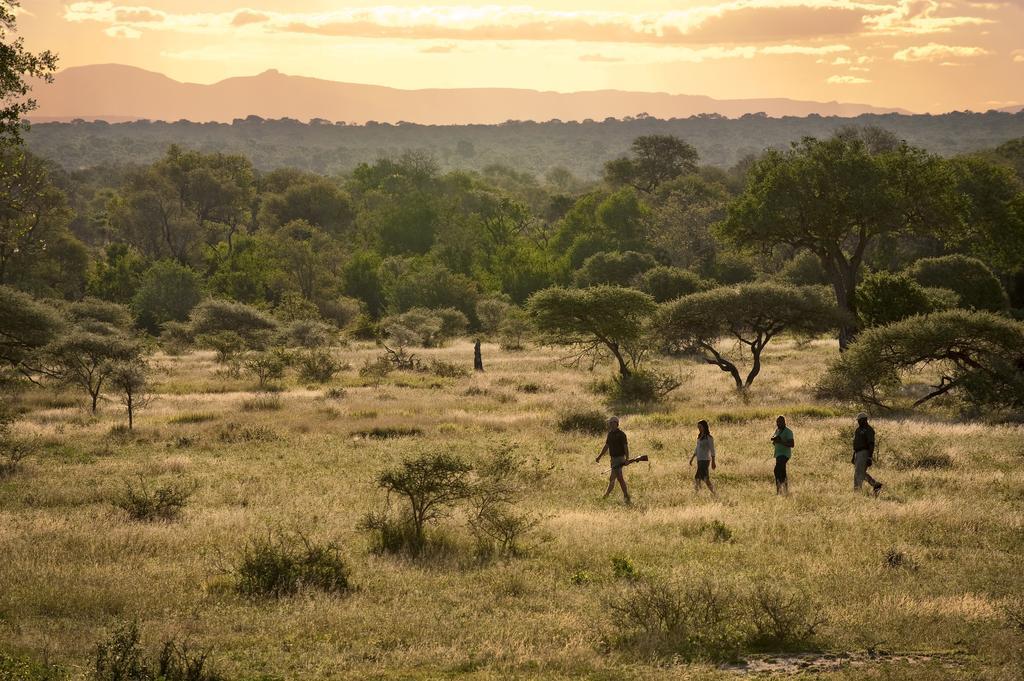 Lion Sands River Lodge Sabi Sand Game Reserve Exterior foto