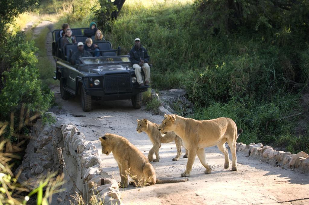 Lion Sands River Lodge Sabi Sand Game Reserve Exterior foto